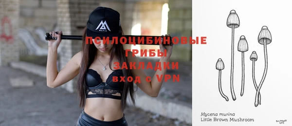 СК Горняк