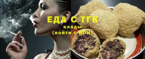 СК Горняк