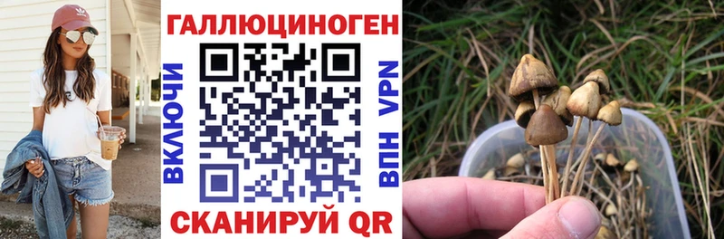 Псилоцибиновые грибы прущие грибы  Калининград 